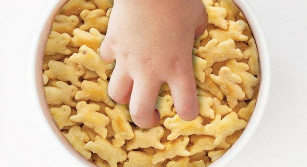 Annie’s Organic Cheddar Bunnies Snack Crackers 12-Pack Only $4.93 Shipped on Amazon